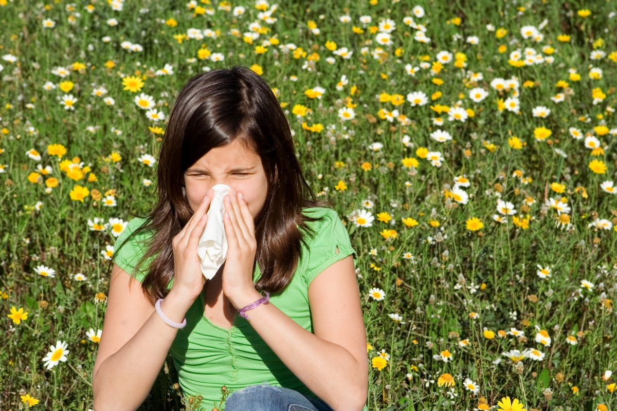 Distinguishing Between a Cold, Allergies, and Sinus Problems