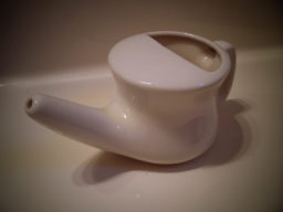 White Neti Pot Designed To Clean Sinuses With Distilled Water