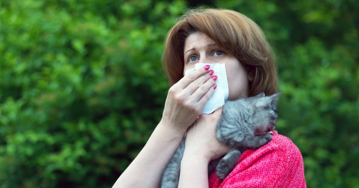 5 Remèdes naturels pour les allergies saisonnières 