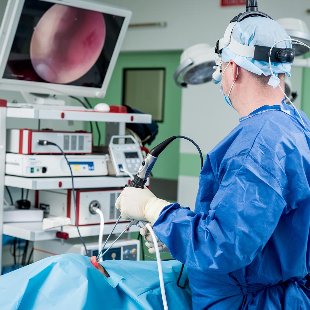 doctor performing a nasal endoscopy