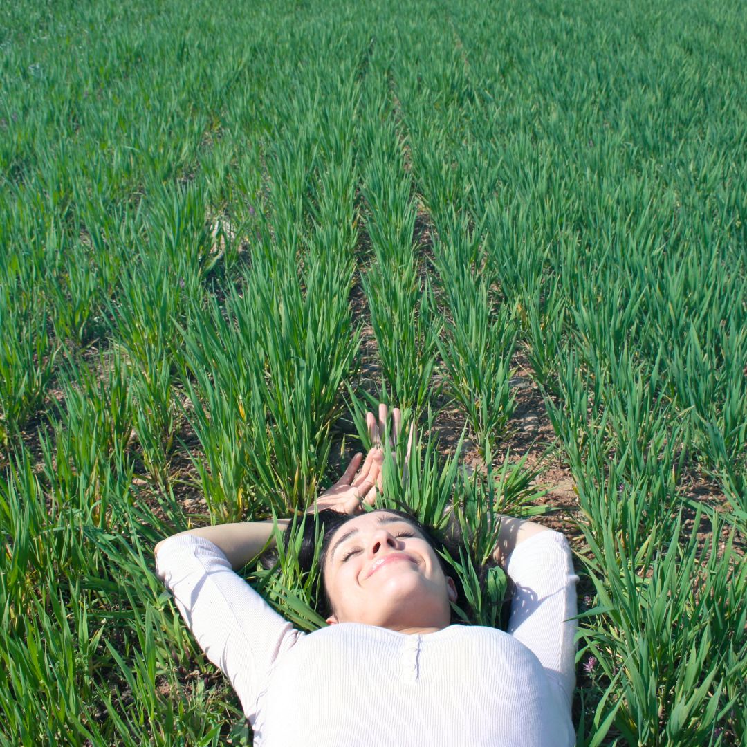 Laying in grass
